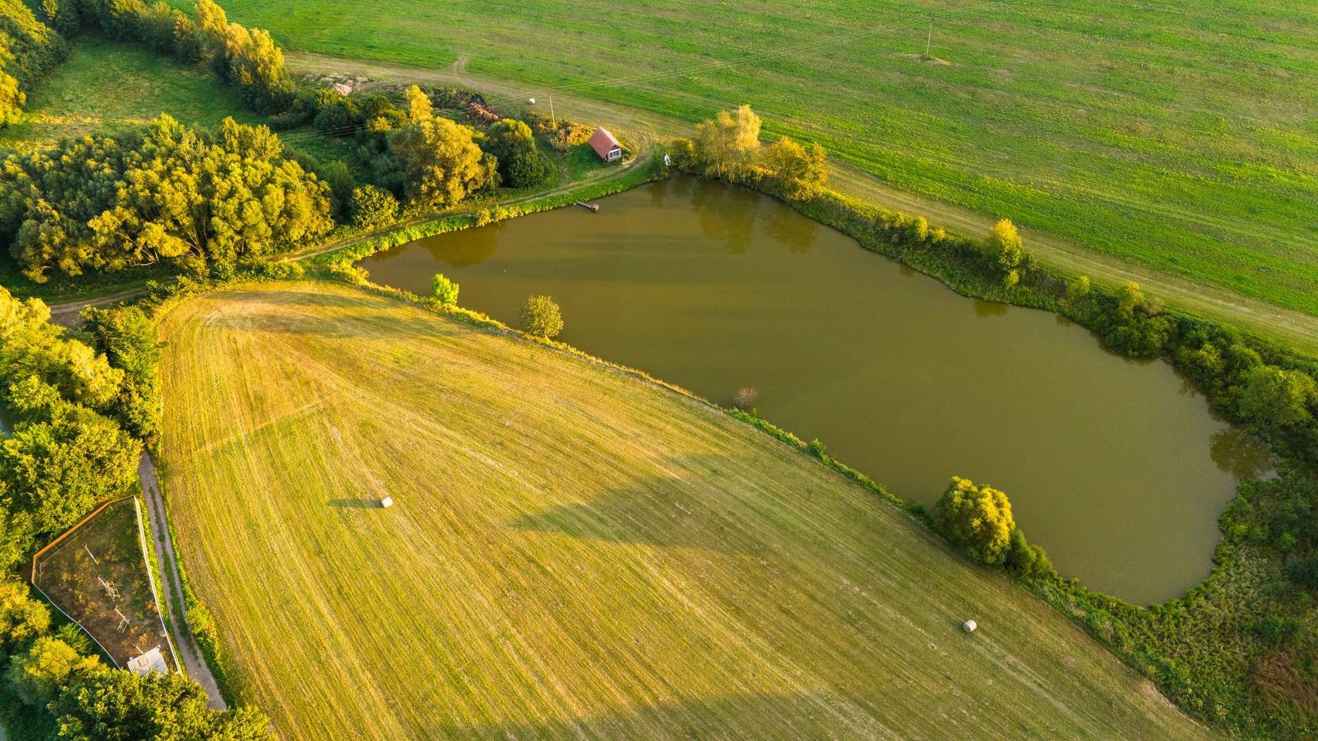 A pond beside an open field, seen from above